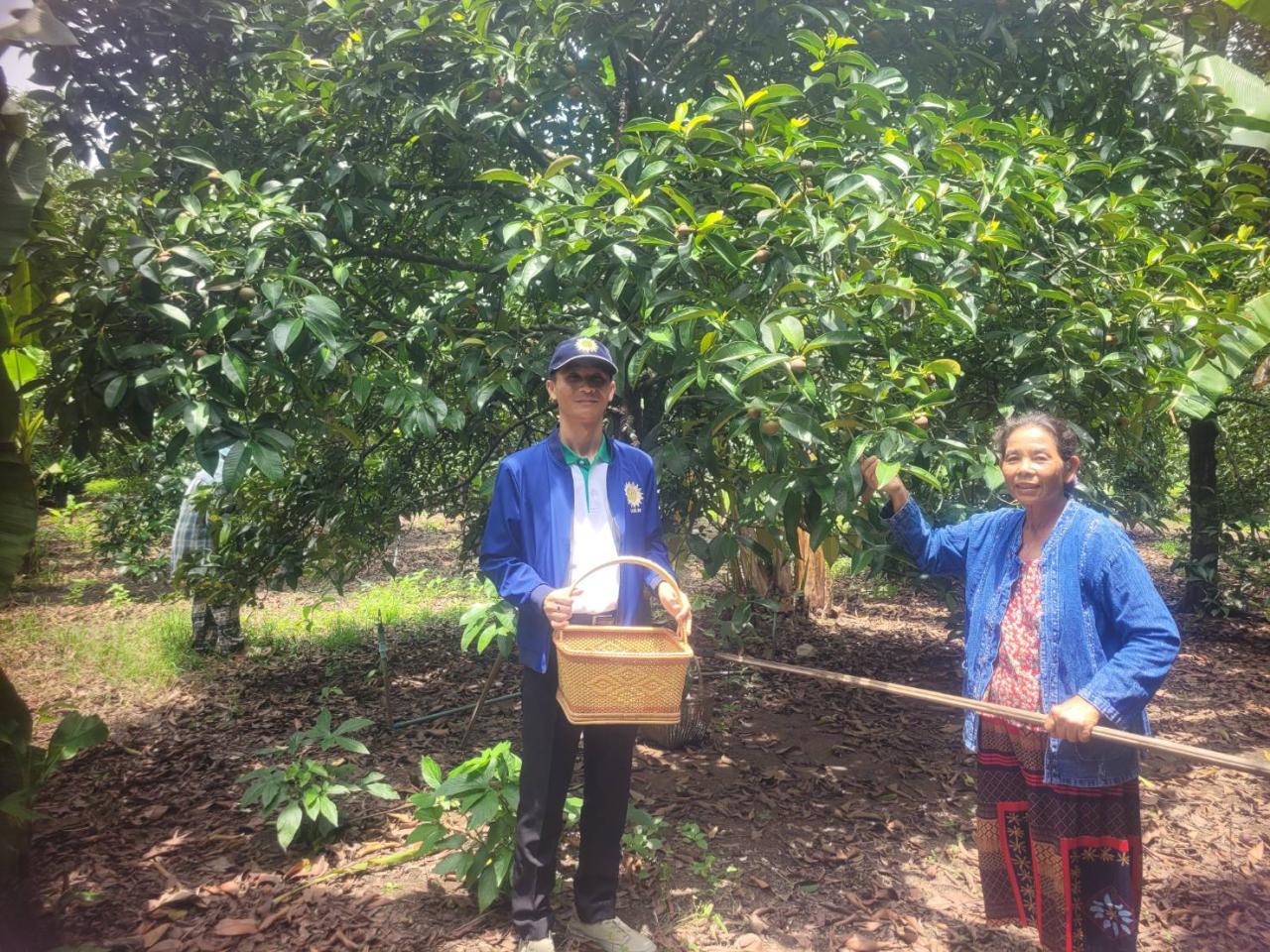 ภาพประกอบที่ 2