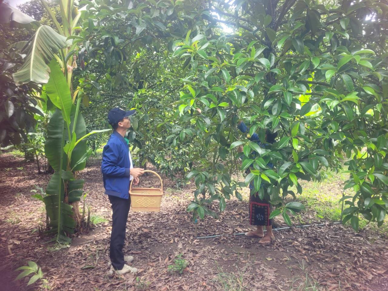 ภาพประกอบที่ 4