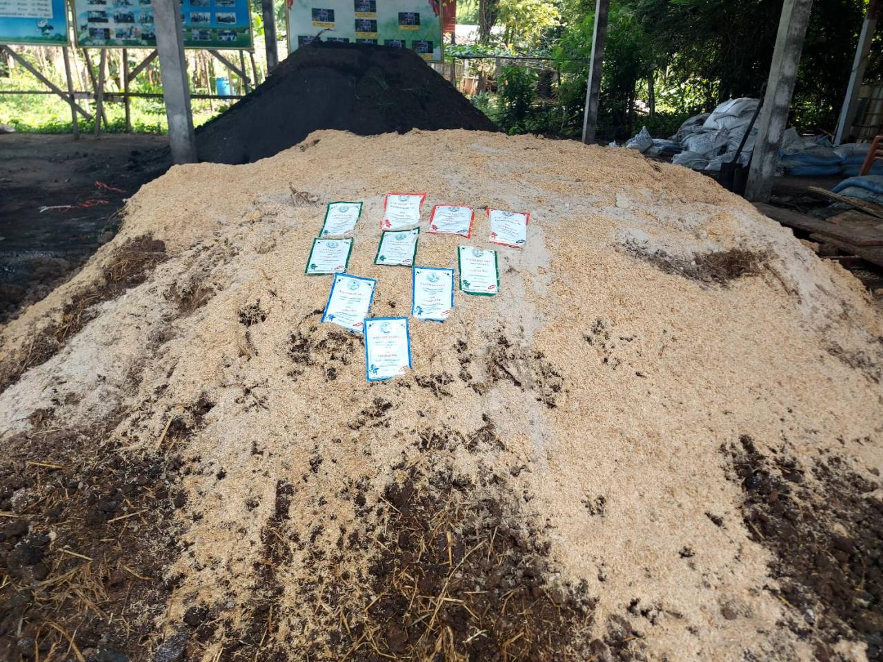 ภาพประกอบที่ 5