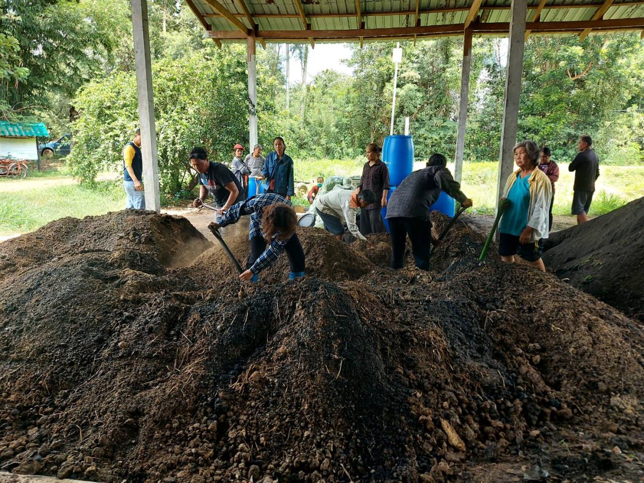 ภาพประกอบที่ 12