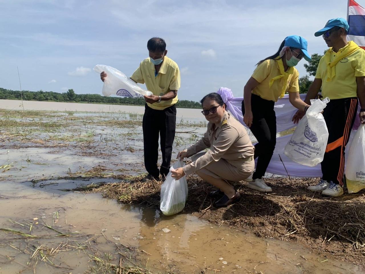 ภาพประกอบที่ 3
