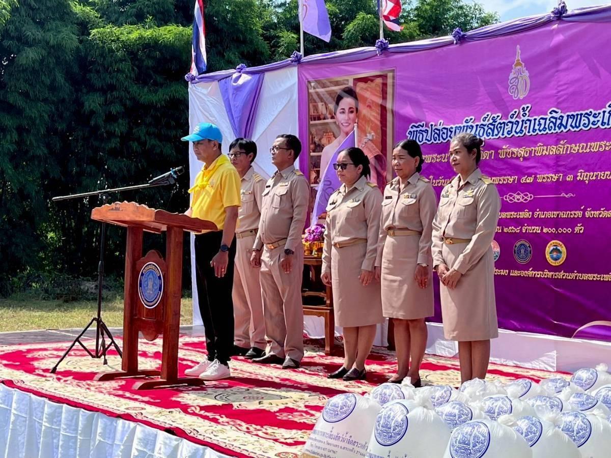 ภาพประกอบที่ 5