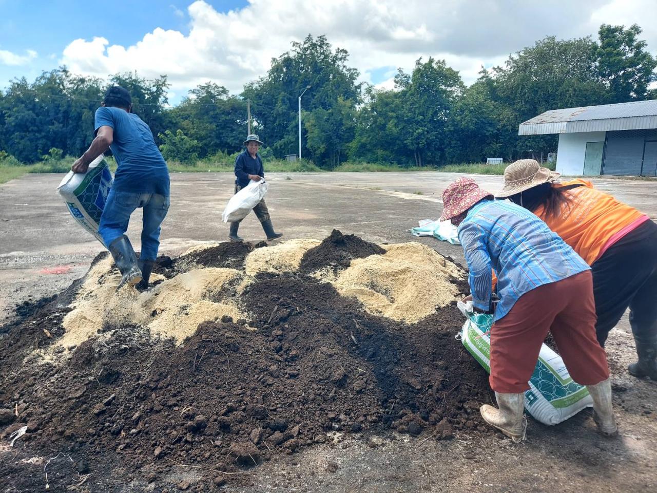 ภาพประกอบที่ 11