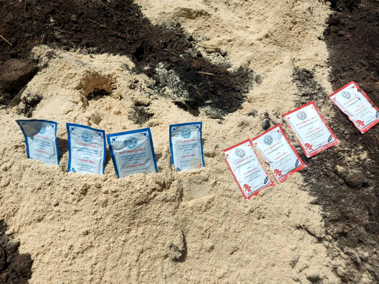 ภาพประกอบที่ 13