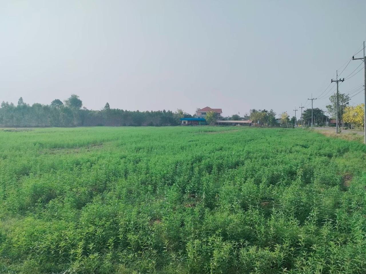 ภาพประกอบที่ 8