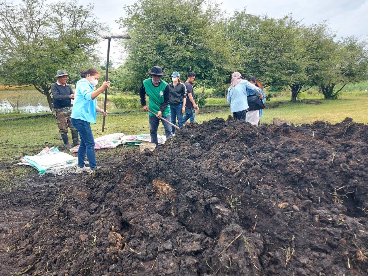 ภาพประกอบที่ 1