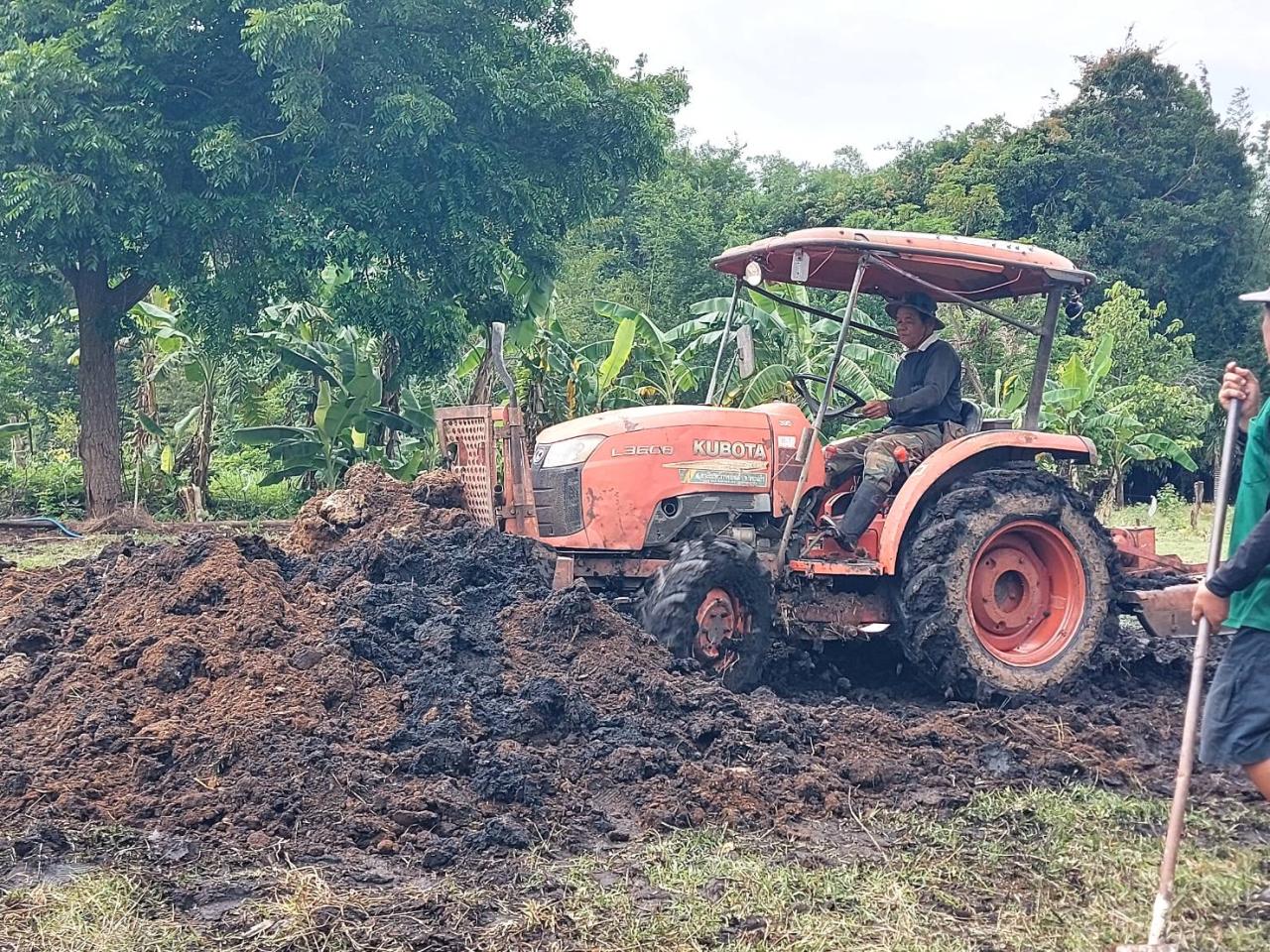ภาพประกอบที่ 2