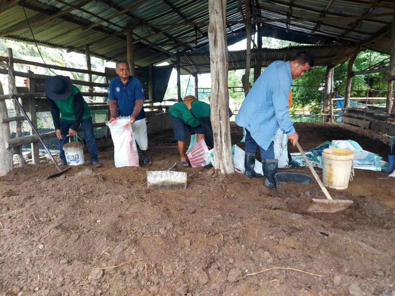 ภาพประกอบที่ 8