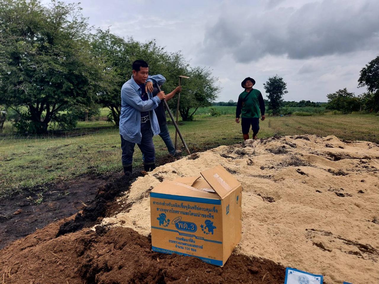 ภาพประกอบที่ 9