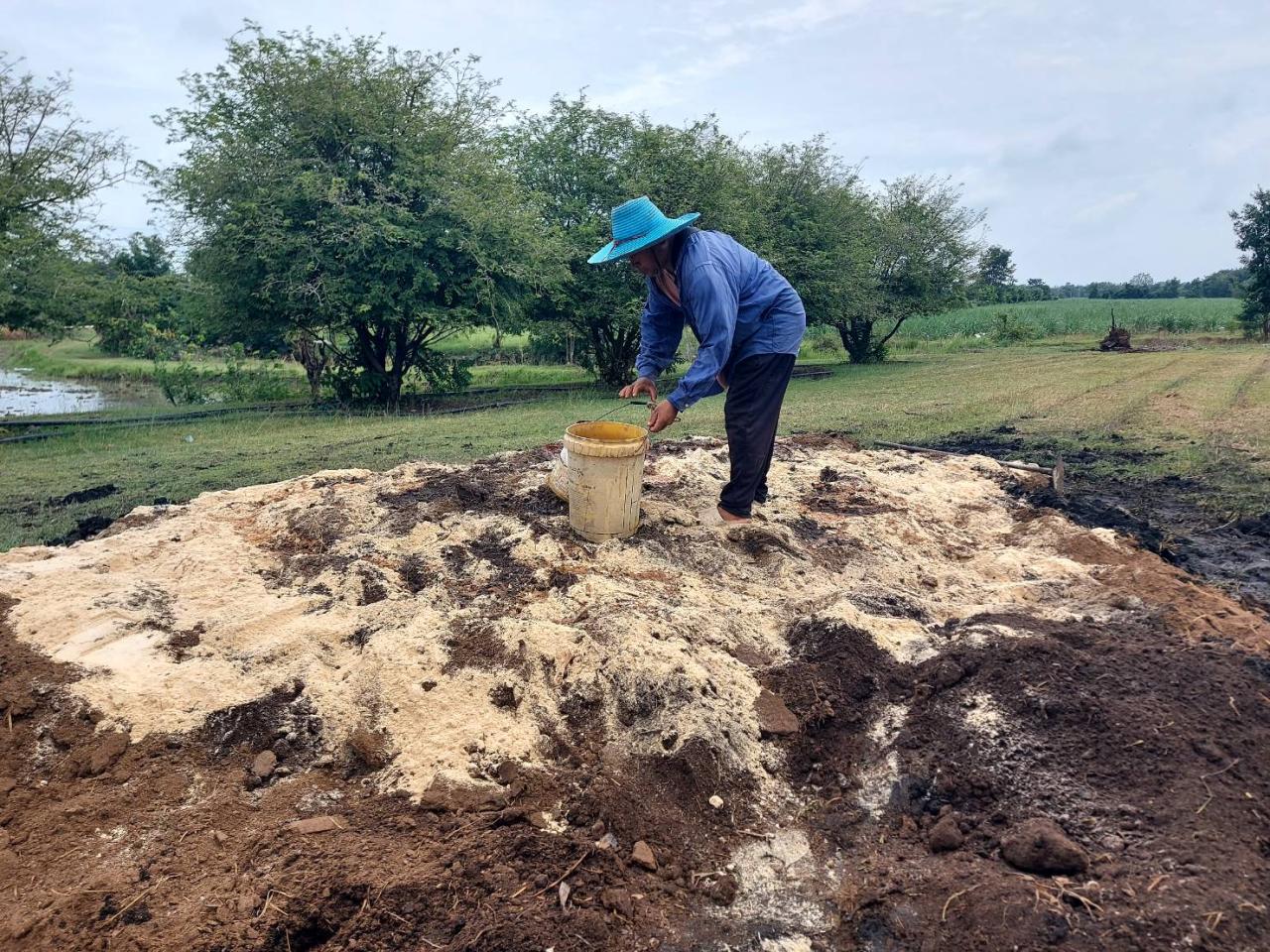 ภาพประกอบที่ 11