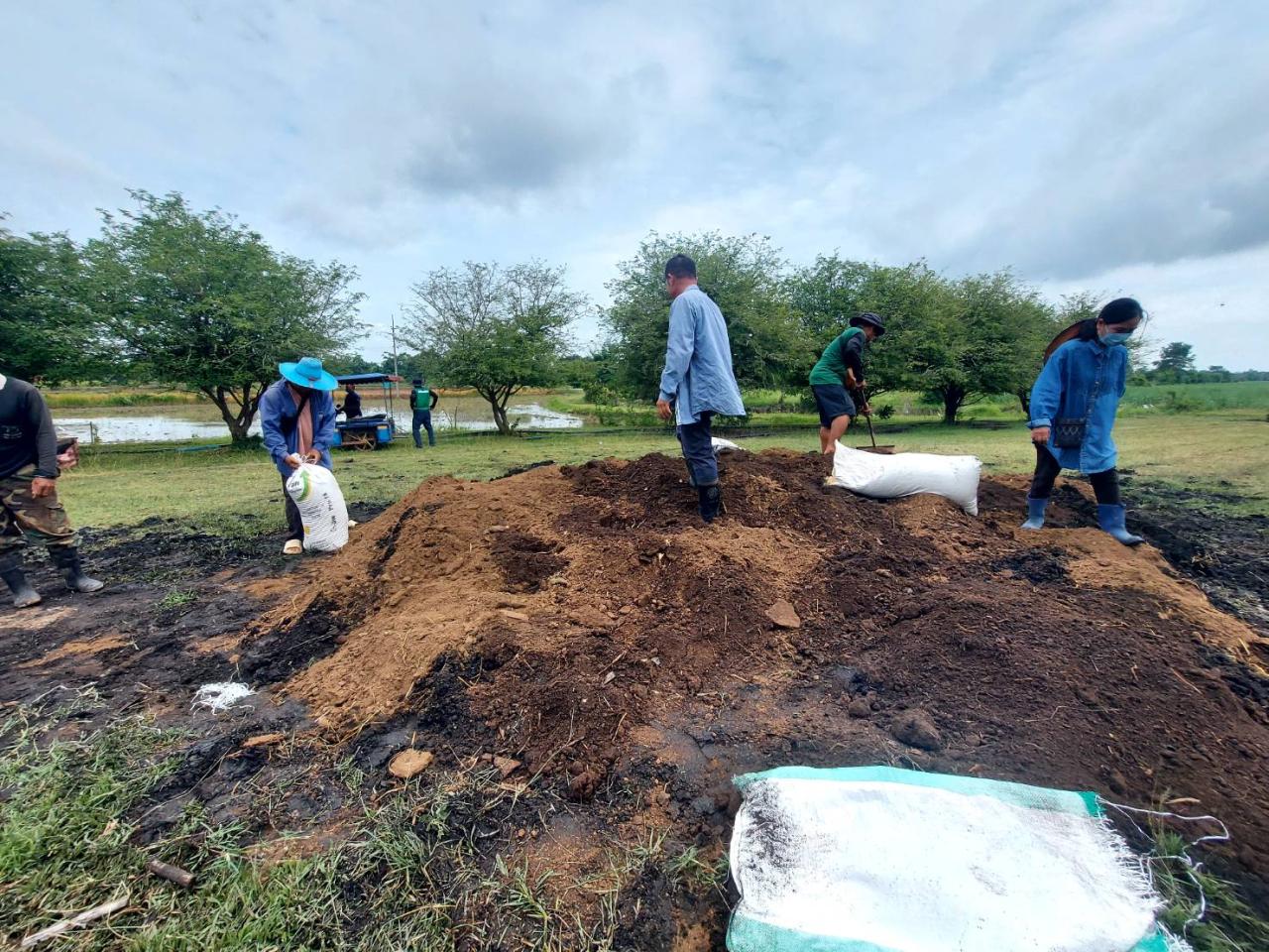 ภาพประกอบที่ 12