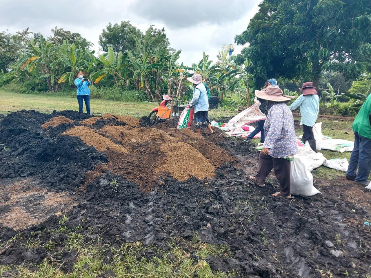 ภาพประกอบที่ 13