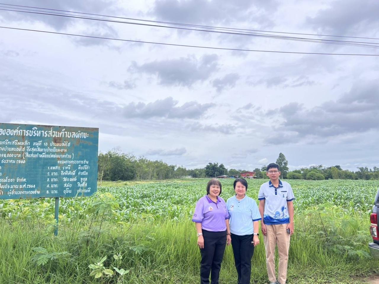 ภาพประกอบที่ 1