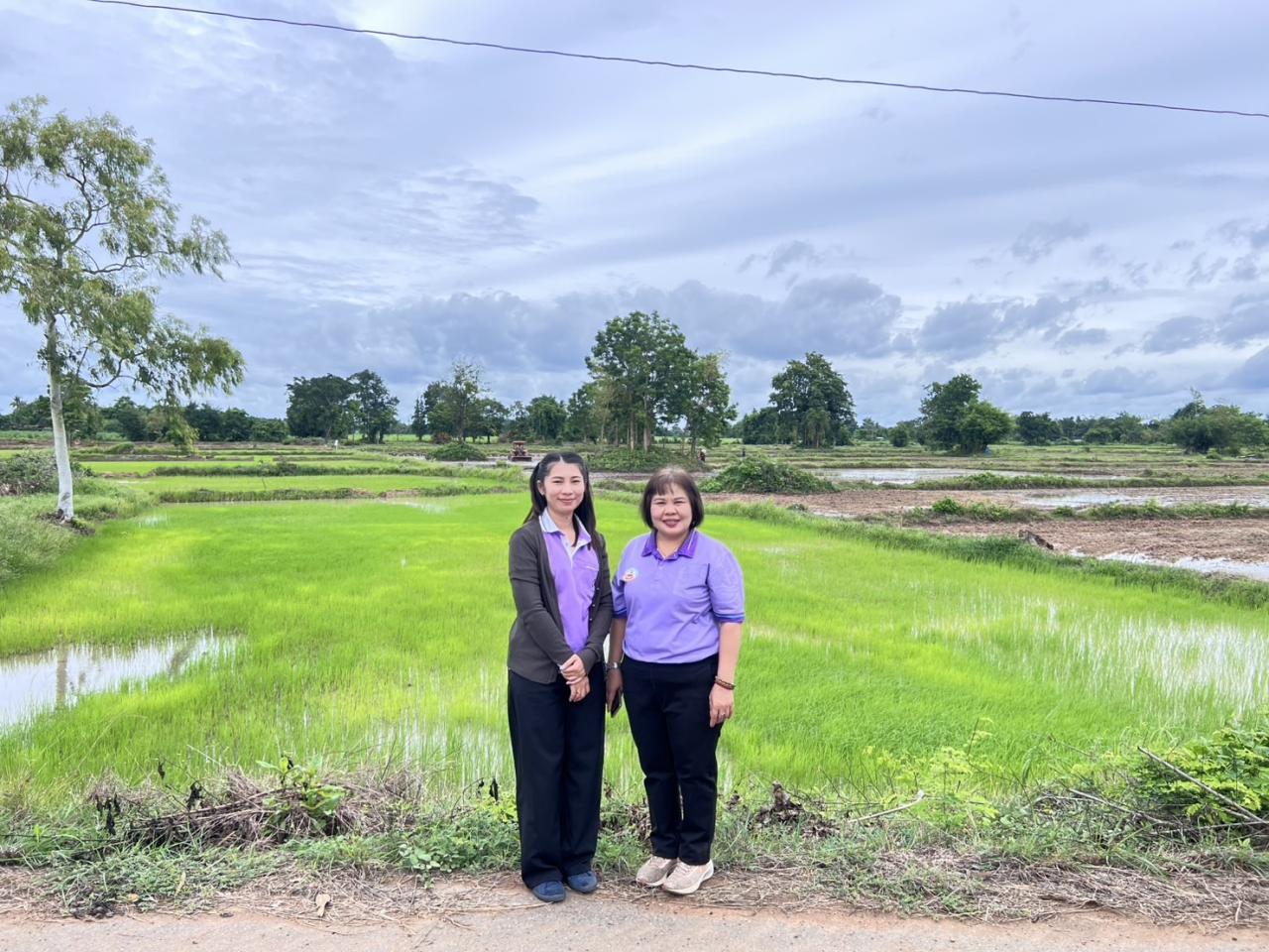 ภาพประกอบที่ 4