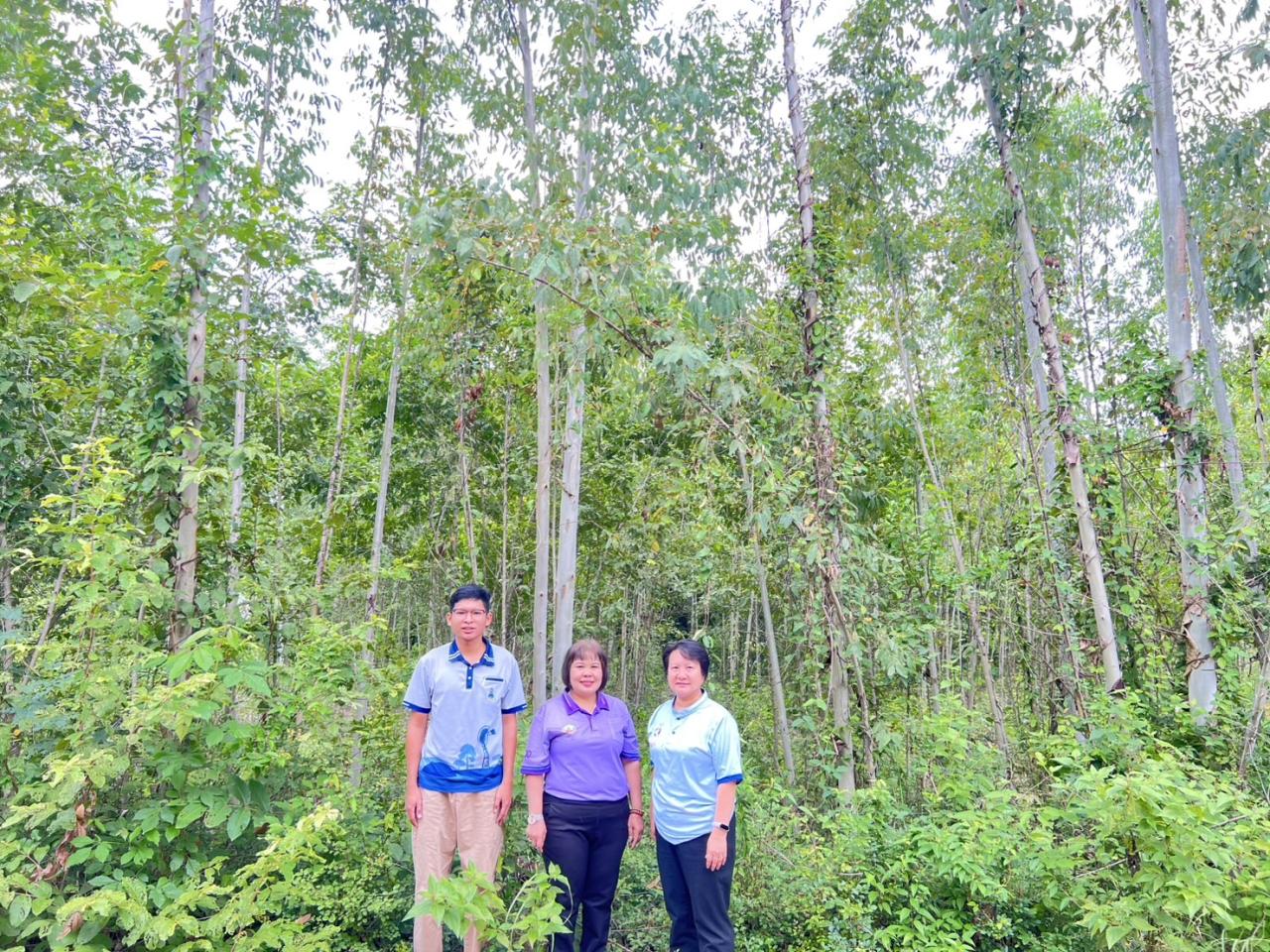 ภาพประกอบที่ 5