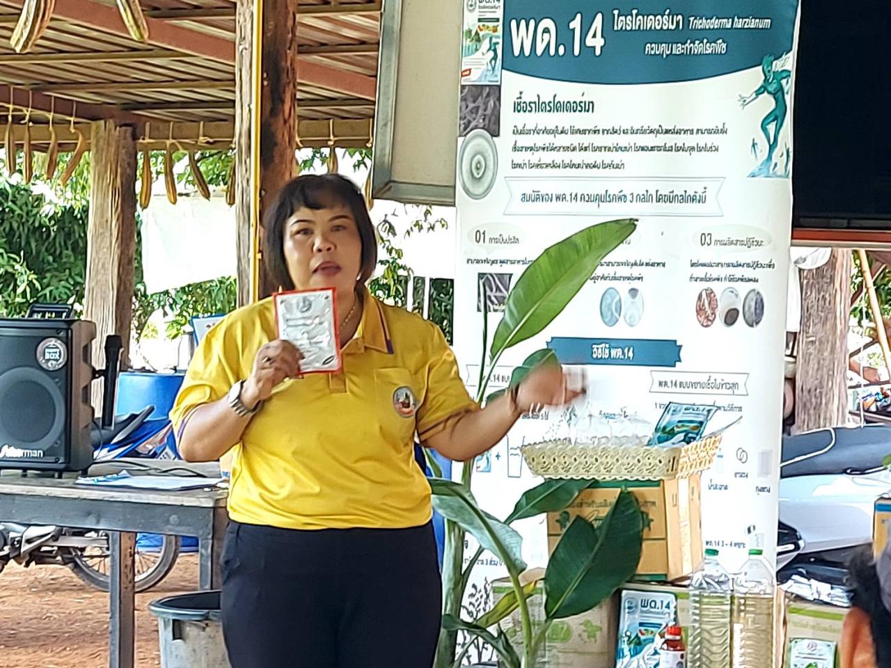 ภาพประกอบที่ 2