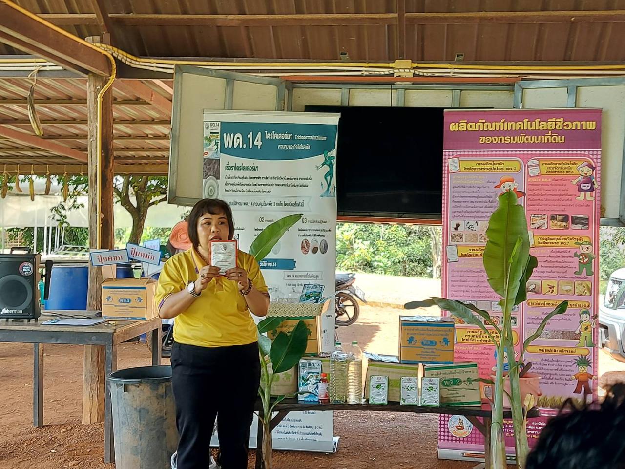 ภาพประกอบที่ 3