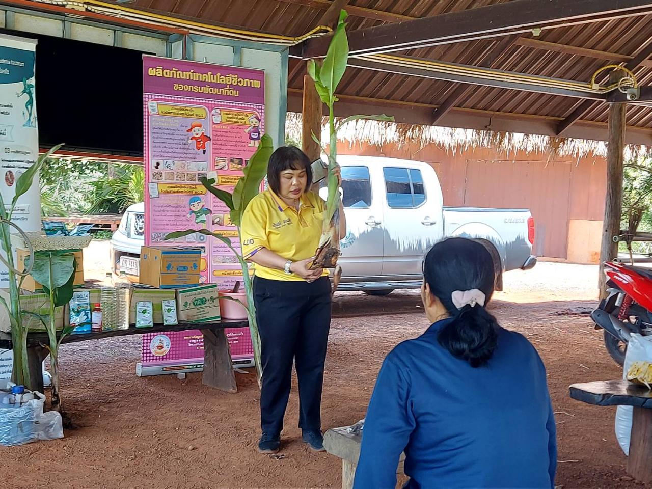 ภาพประกอบที่ 11