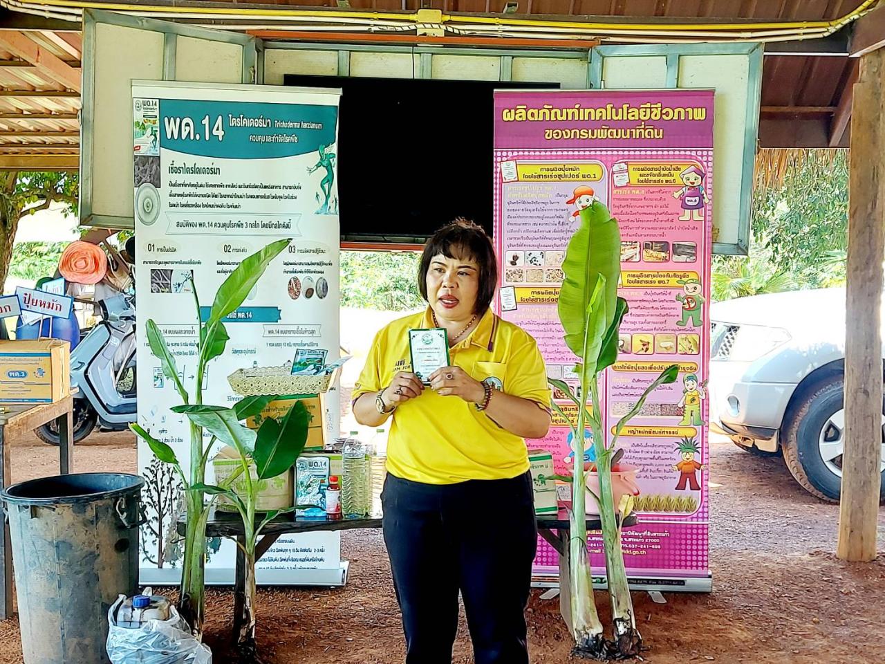 ภาพประกอบที่ 12