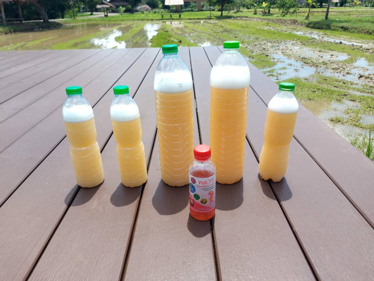 ภาพประกอบที่ 24