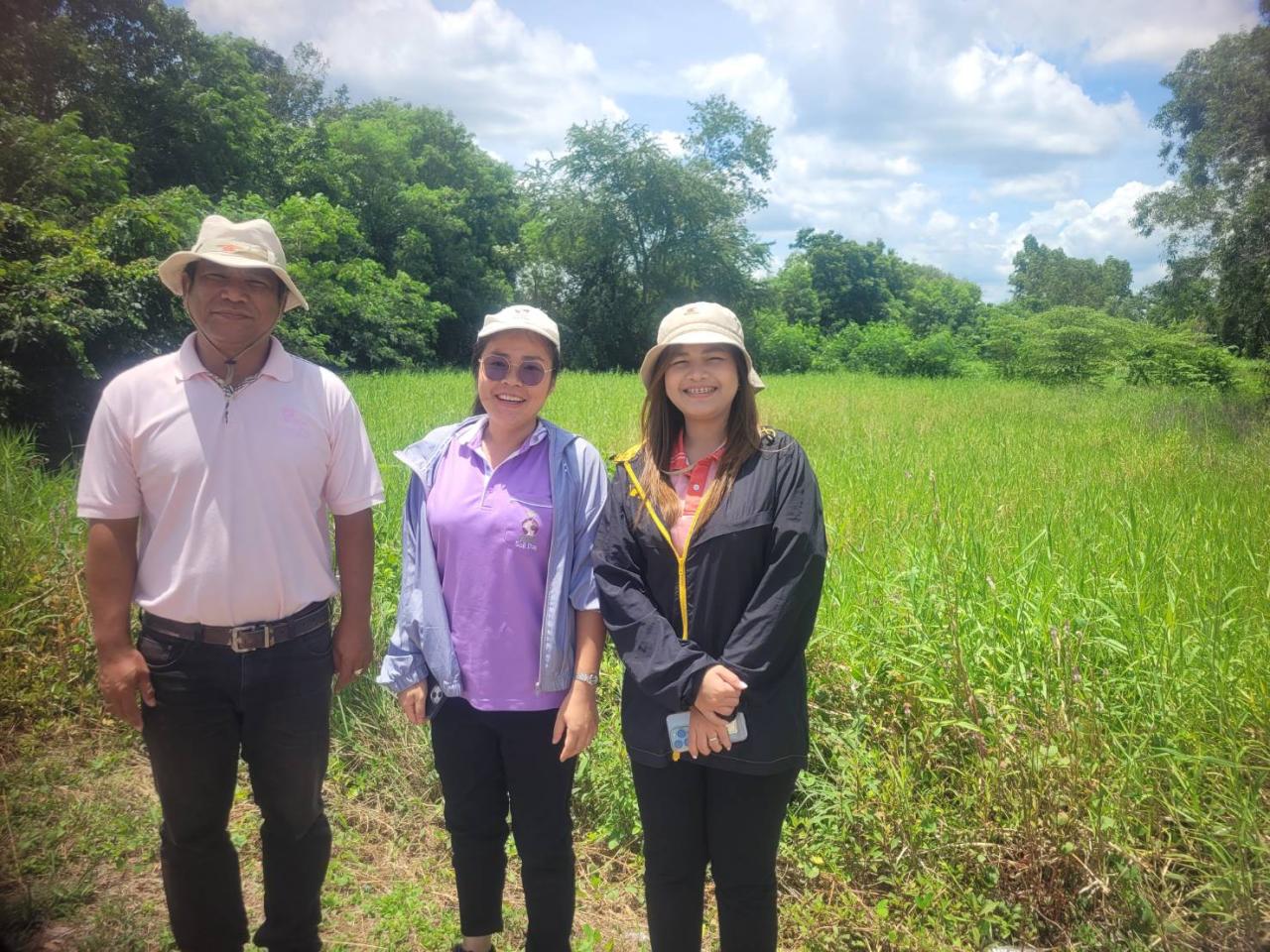 ภาพประกอบที่ 4