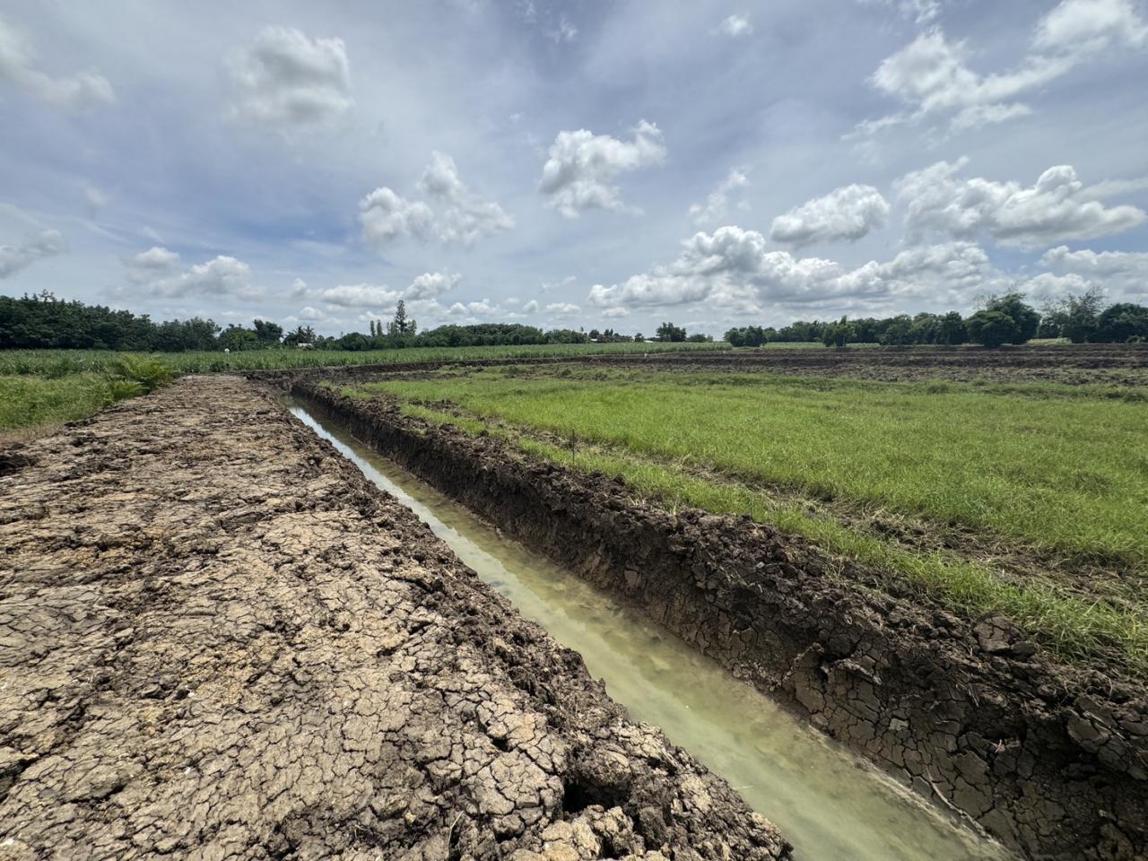 ภาพประกอบที่ 7