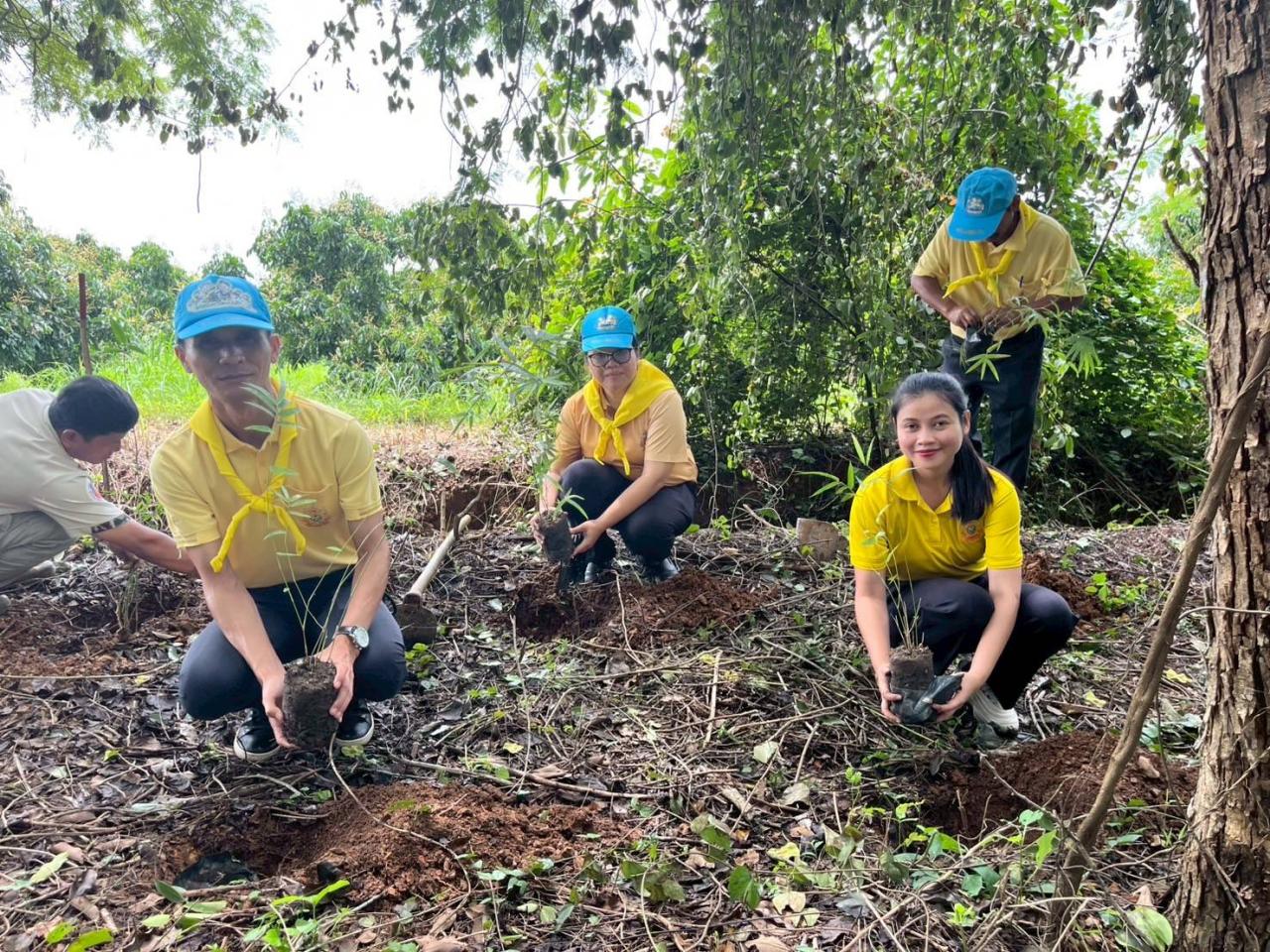 ภาพประกอบที่ 2