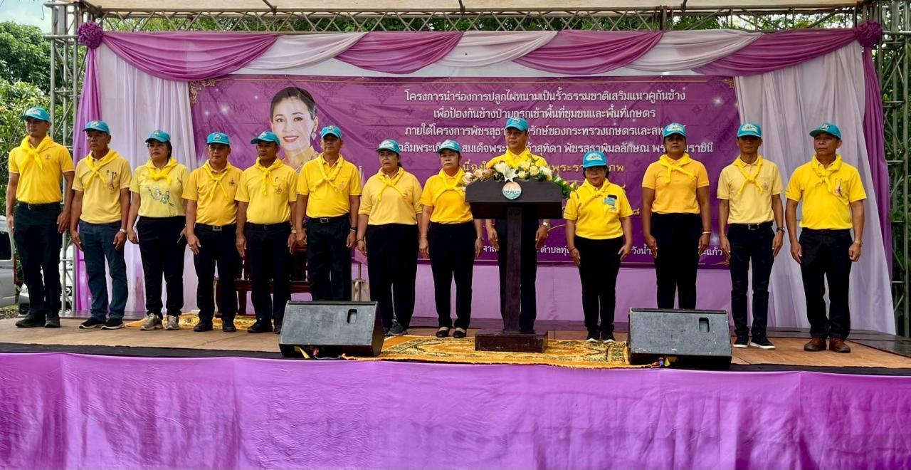 ภาพประกอบที่ 4