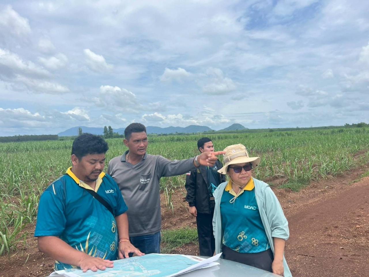 ภาพประกอบที่ 7