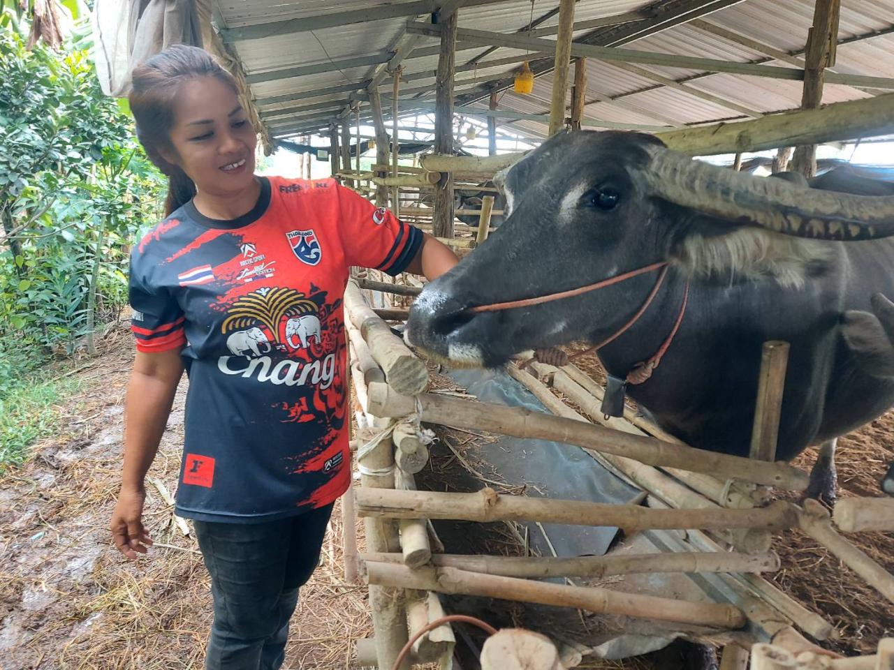 ภาพประกอบที่ 2