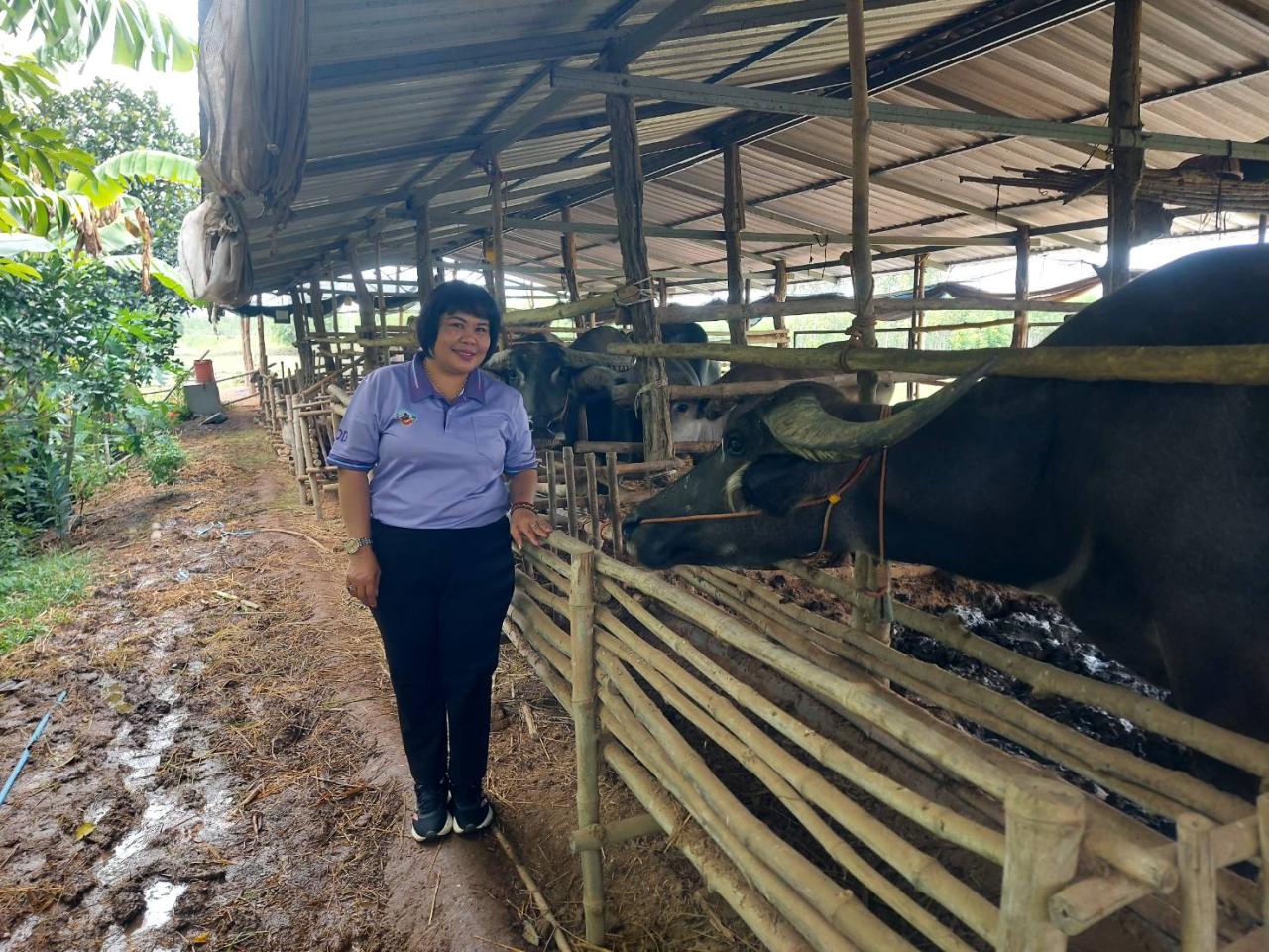 ภาพประกอบที่ 3