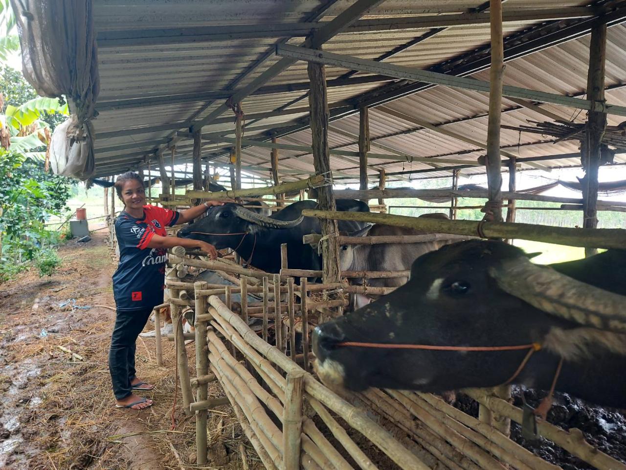 ภาพประกอบที่ 4