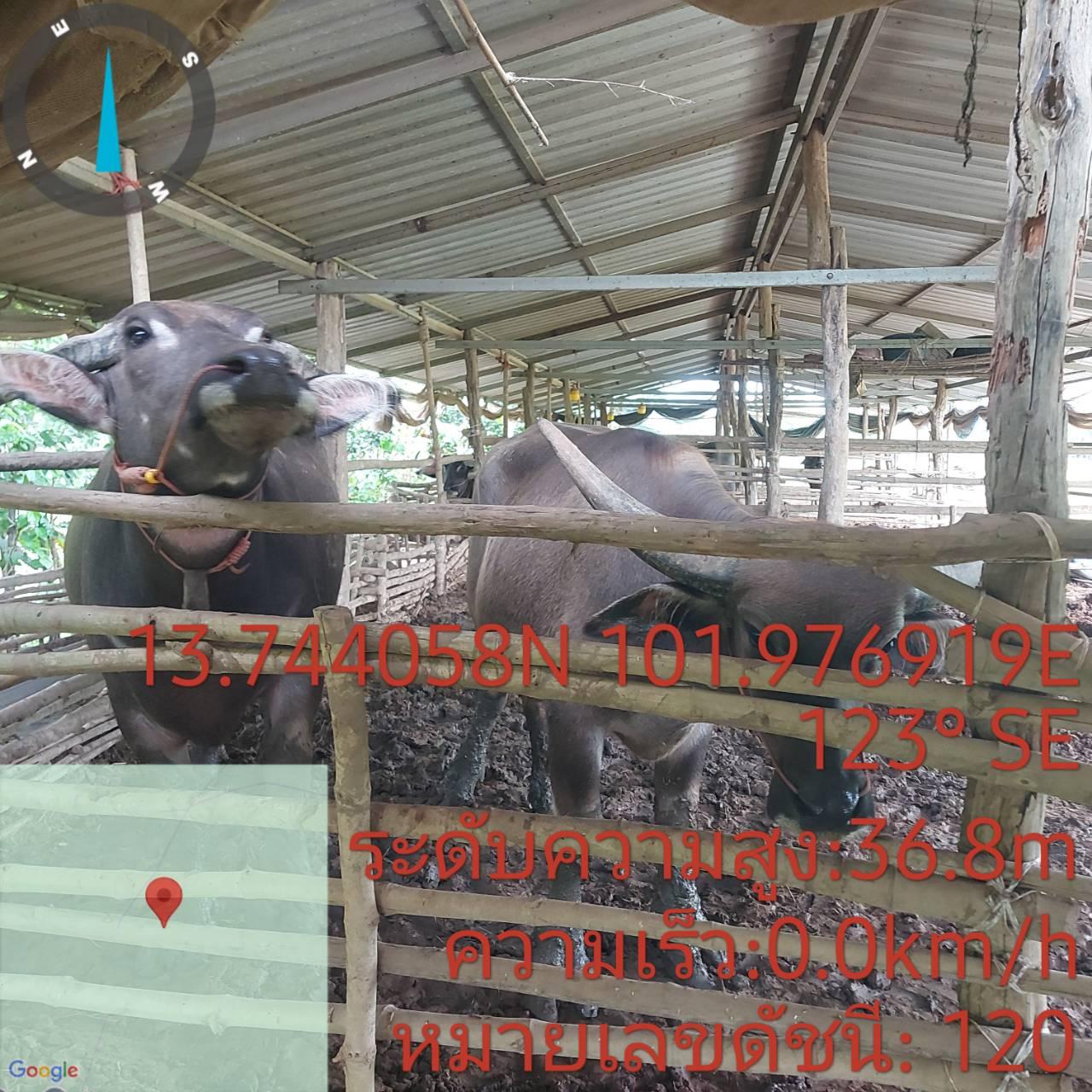 ภาพประกอบที่ 5