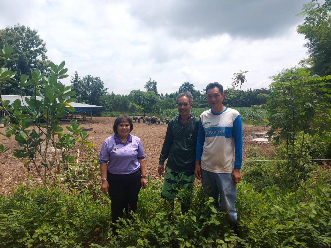 ภาพประกอบที่ 8