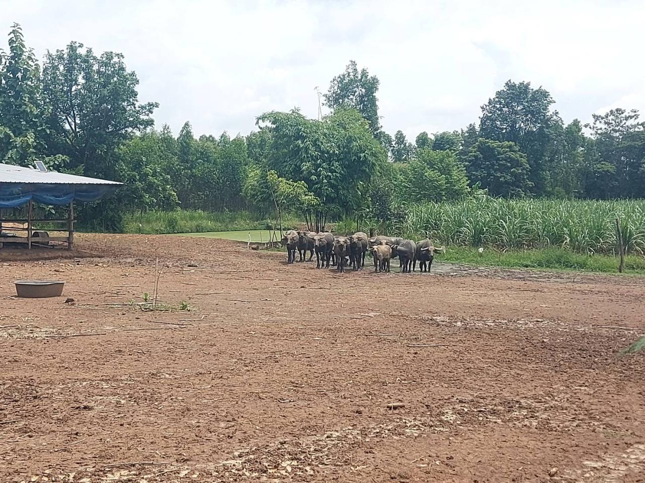 ภาพประกอบที่ 9