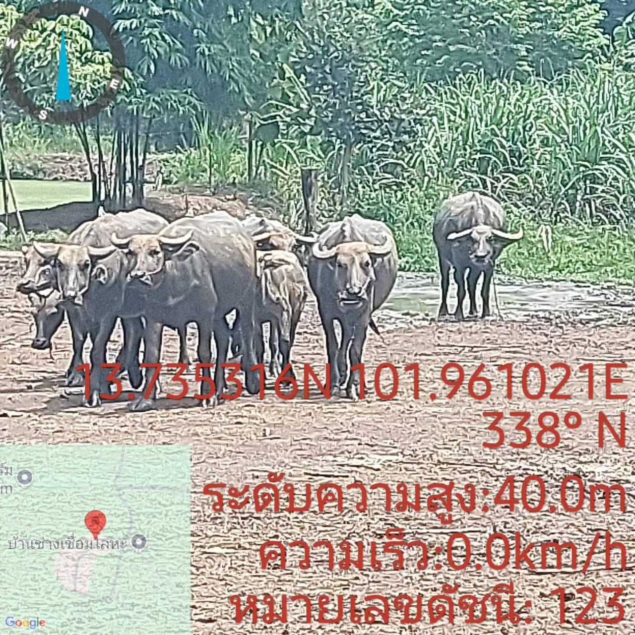 ภาพประกอบที่ 10