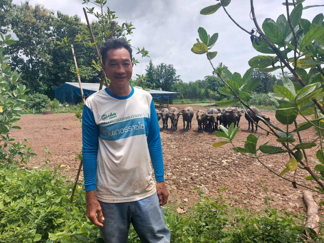 ภาพประกอบที่ 11