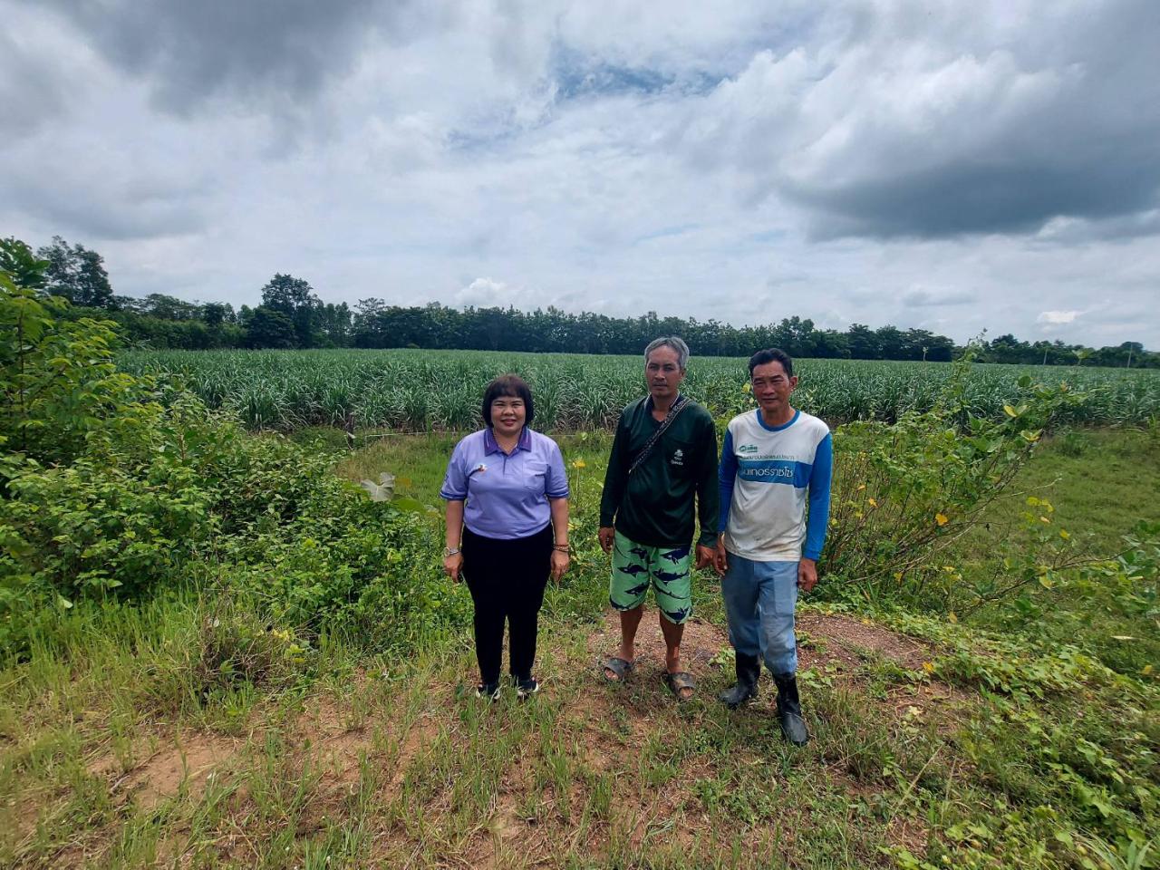 ภาพประกอบที่ 14