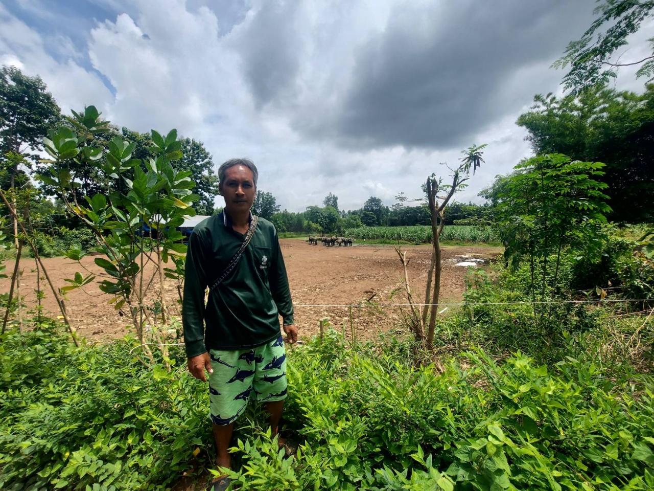 ภาพประกอบที่ 15