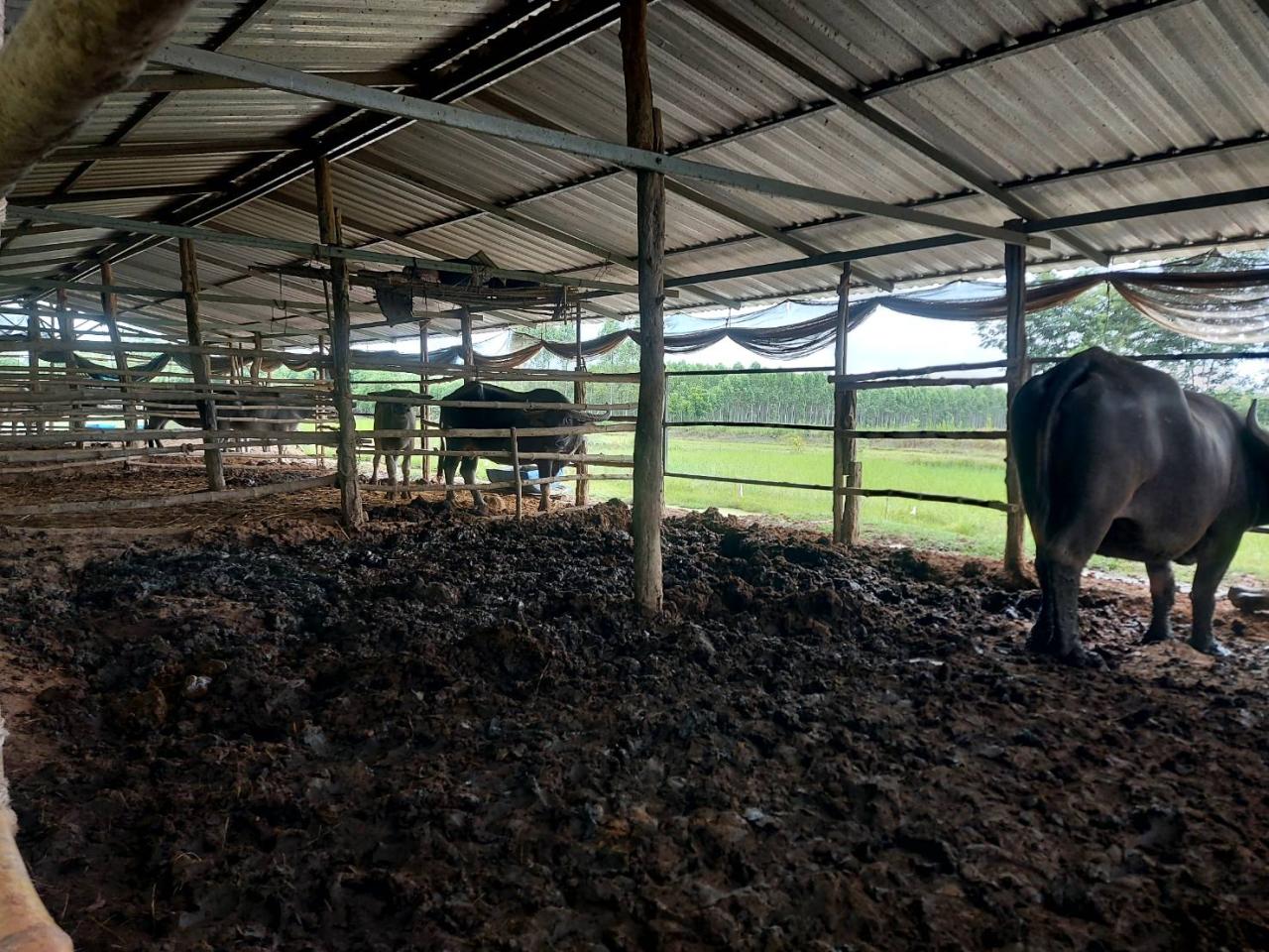 ภาพประกอบที่ 16