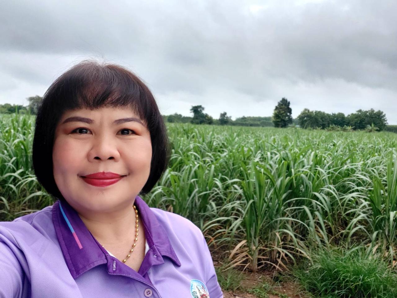 ภาพประกอบที่ 18