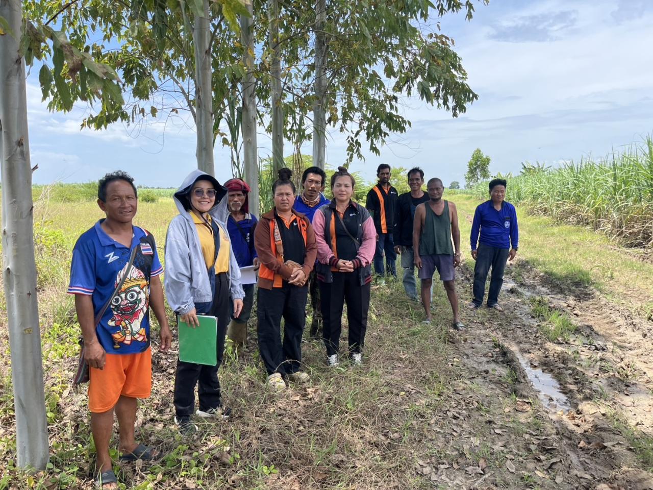 ภาพประกอบที่ 0