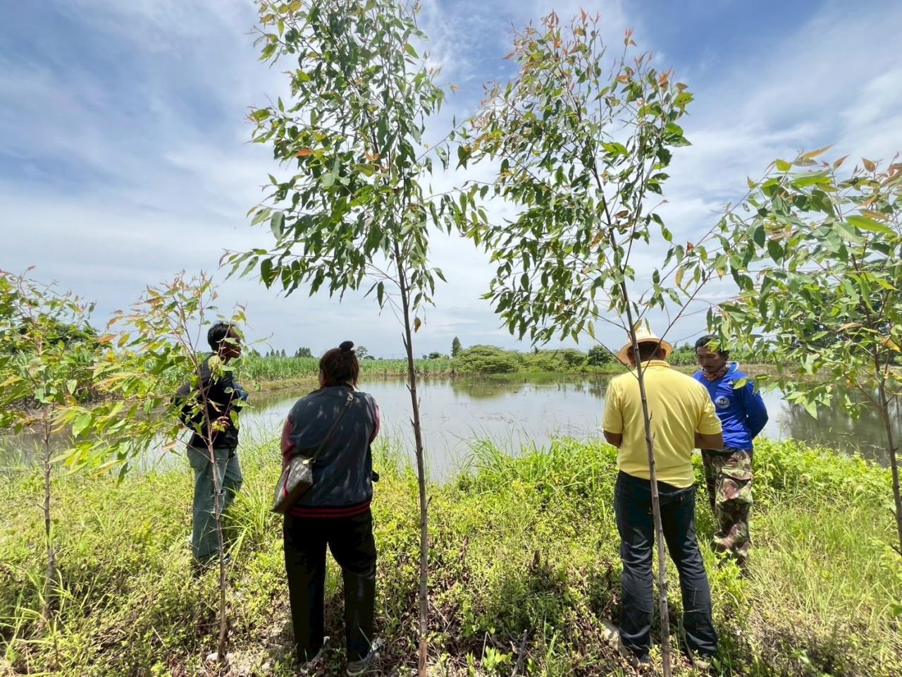 ภาพประกอบที่ 6