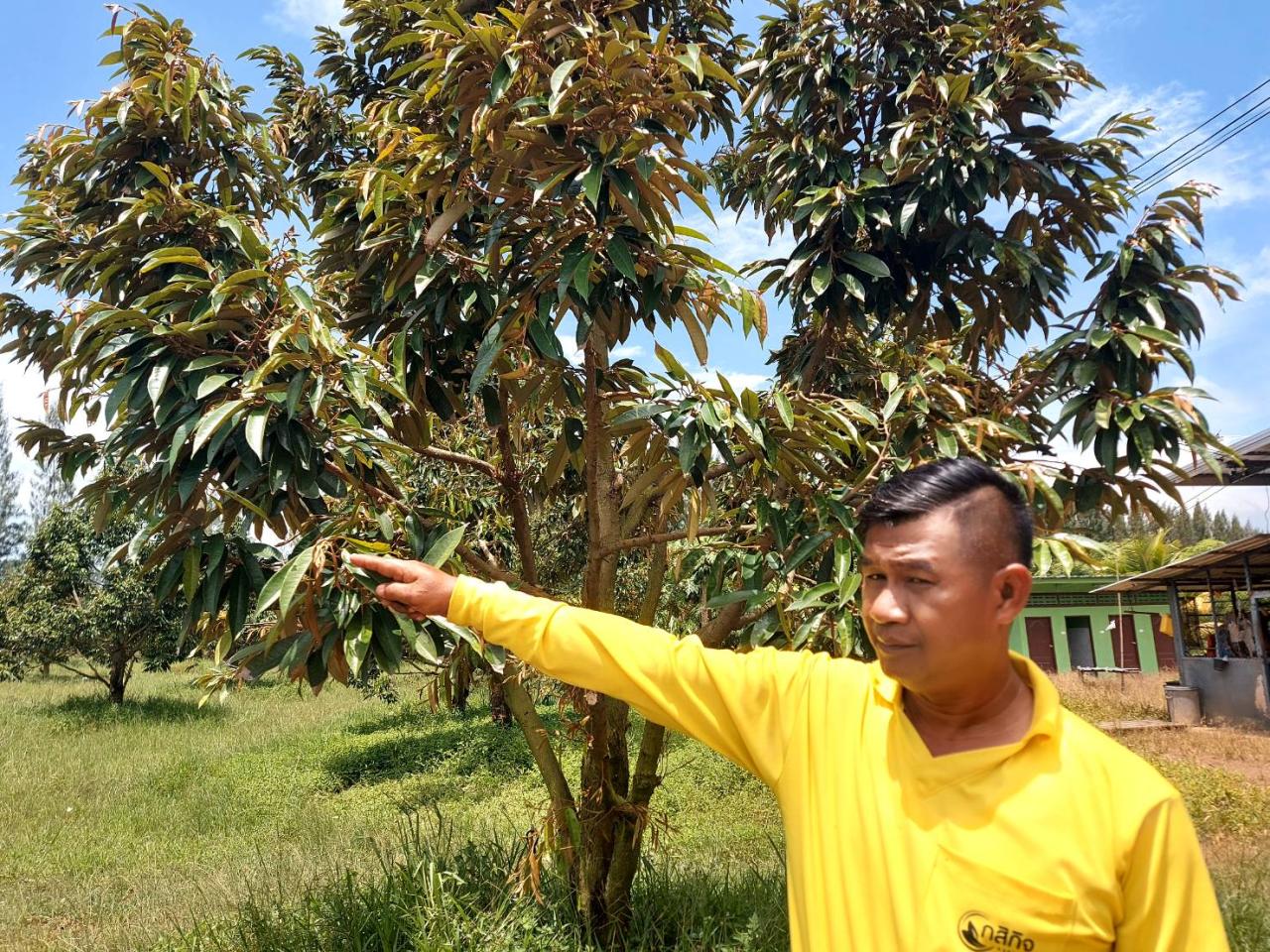 ภาพประกอบที่ 1