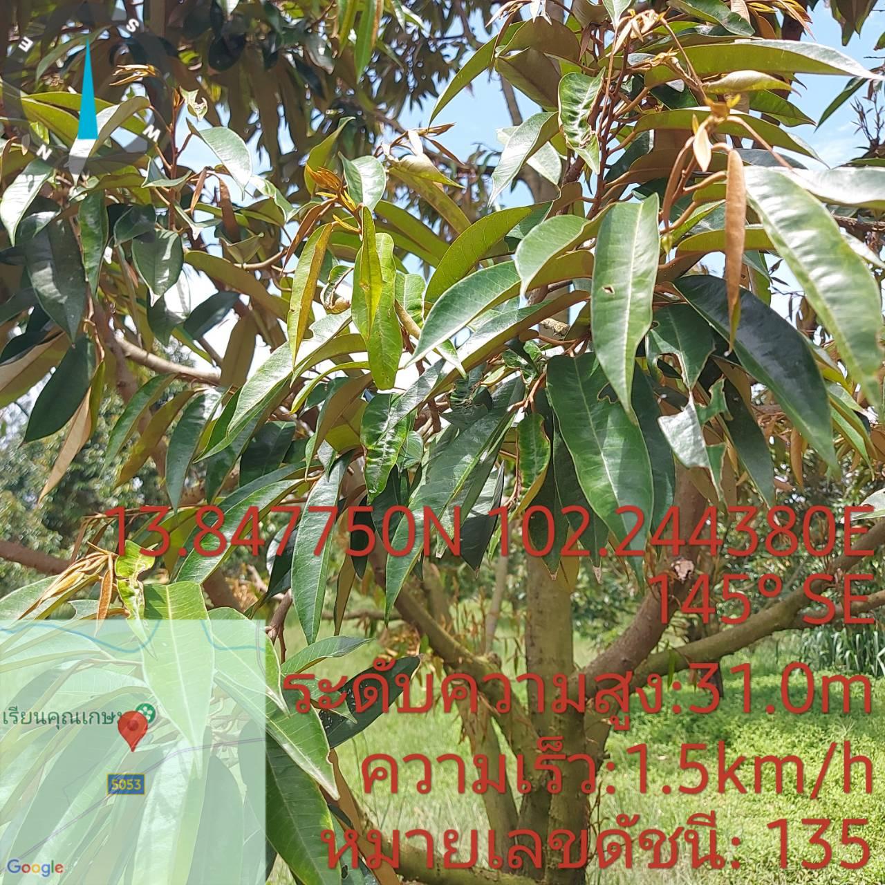 ภาพประกอบที่ 6