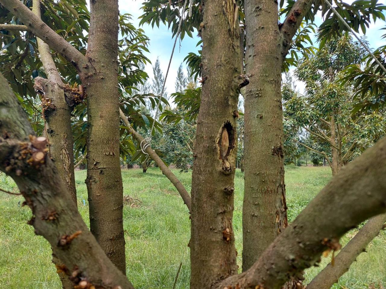 ภาพประกอบที่ 7