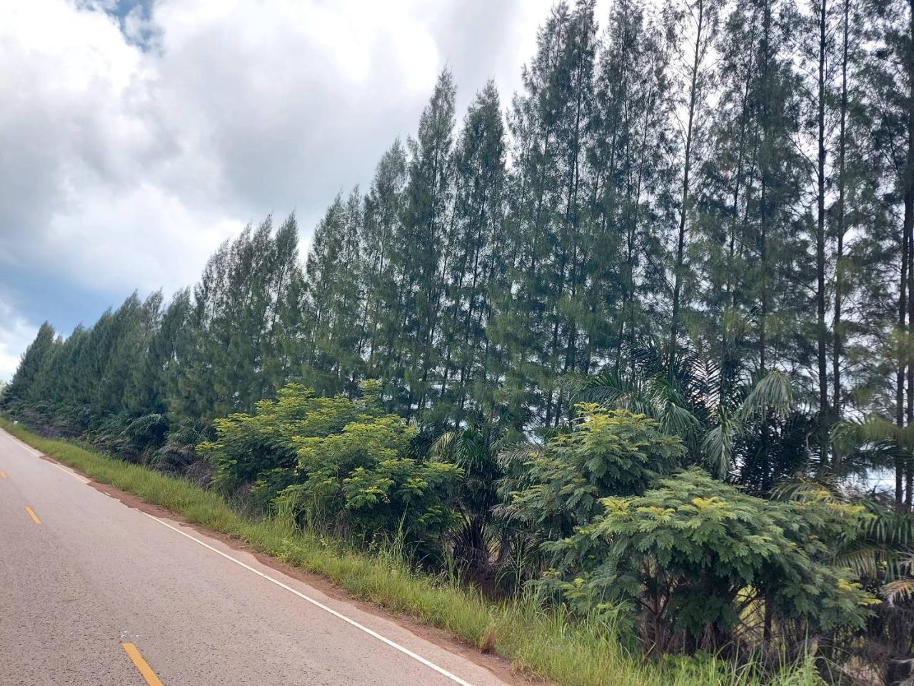 ภาพประกอบที่ 11