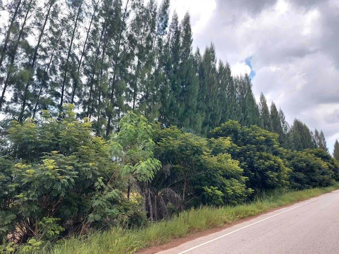 ภาพประกอบที่ 12