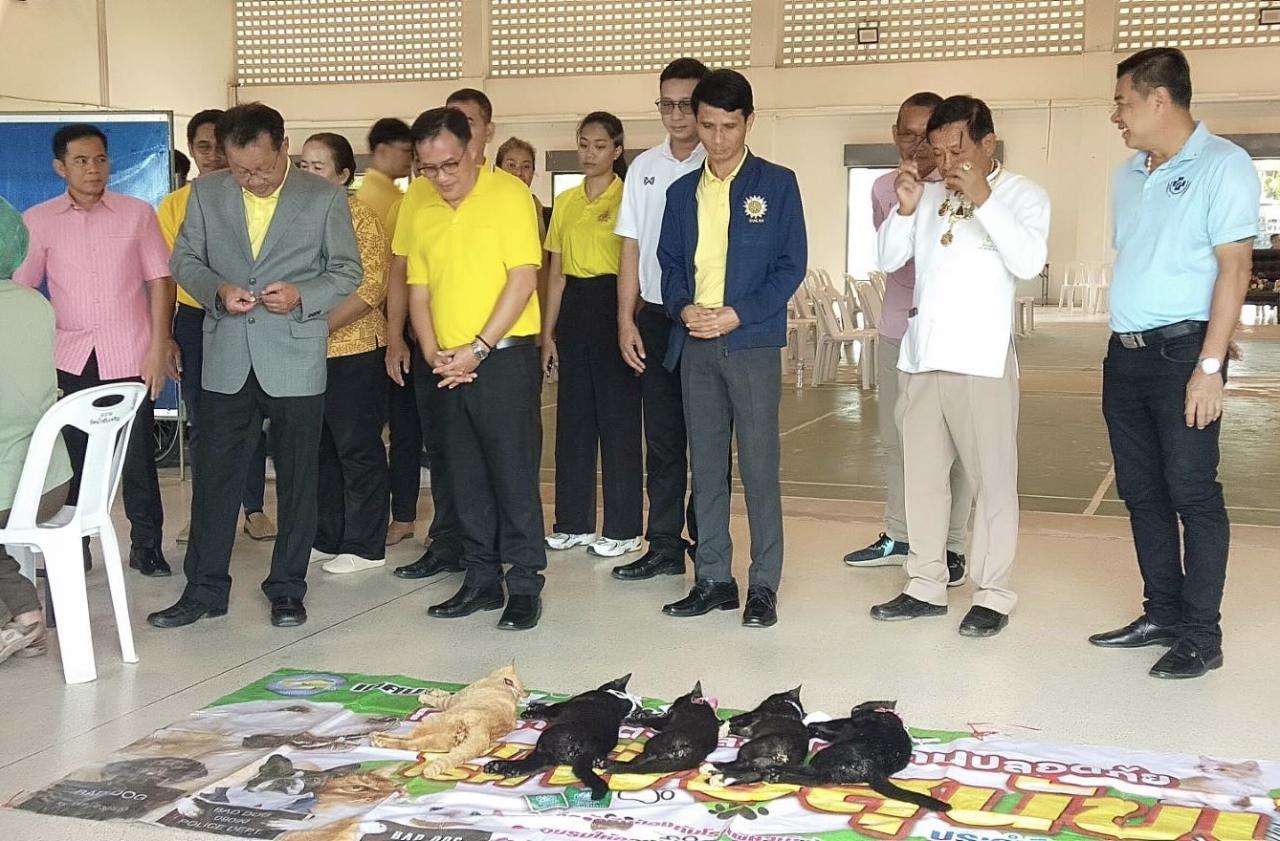 ภาพประกอบที่ 2