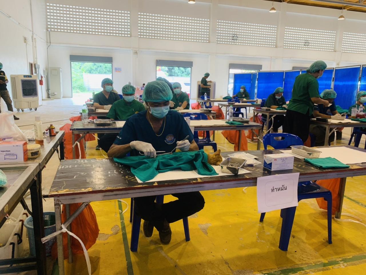 ภาพประกอบที่ 3